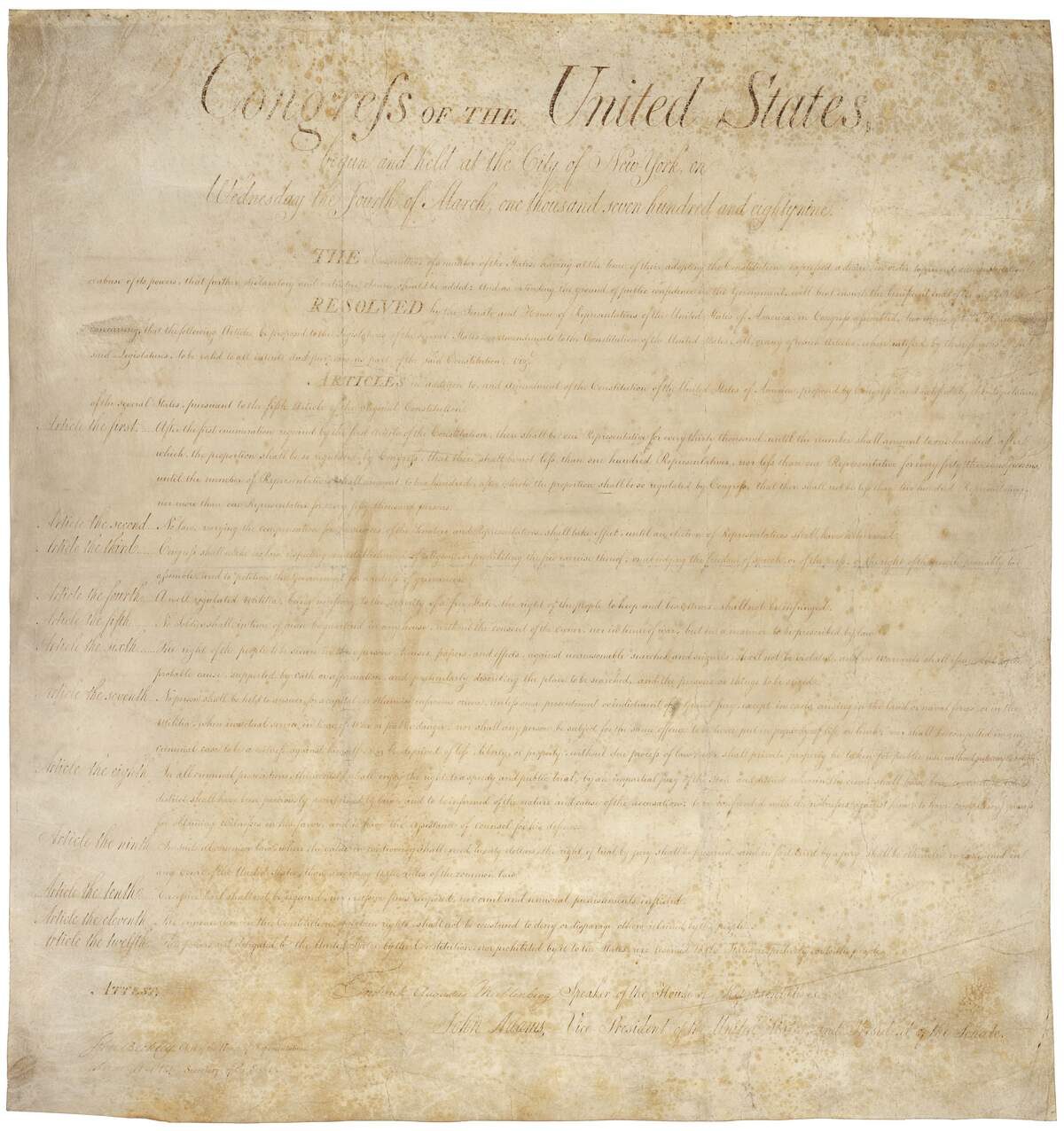 Image for Bill of Rights Day