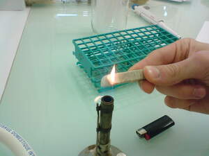 Image for National Bunsen Burner Day
