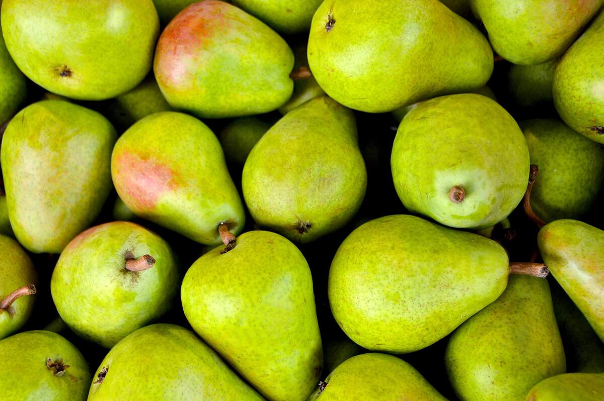Image for National Pear Month